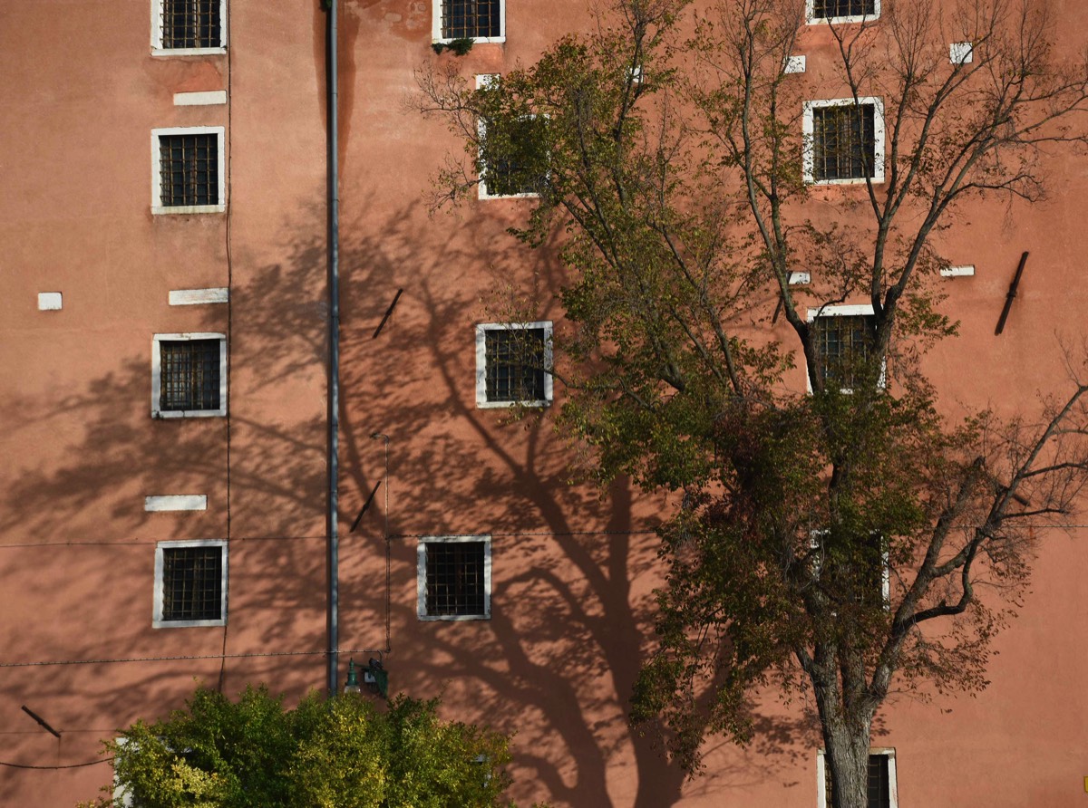 Stacks Image 522